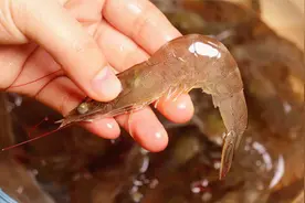 清洗大虾时，别乱用清水洗，等于吃垃圾，教你一招脏东西全跑光