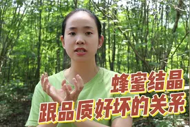 有人说：蜂蜜品质好不好，通过结晶可以看出来，蜂农来揭秘视频封面
