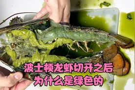 市场买的波士顿龙虾，一刀下去直接傻眼了