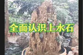 全面认识上水石视频封面
