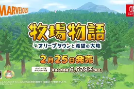 牧场物语橄榄镇 经验干货分享 全野生动物拍照 第六期