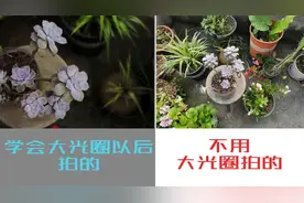 华为手机的大光圈拍花草，懂得这个操作才能出美片！视频封面