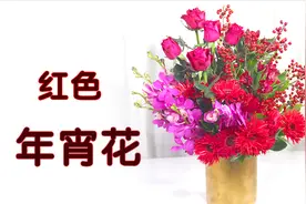 【大叔说花】一个用多种红色系鲜花制作的瓶插花，春节家庭装饰。视频封面