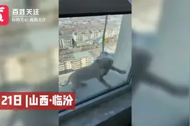 山西多名小孩20楼抛下狗狗并拍视频记录 家长带孩子道歉获谅解视频封面