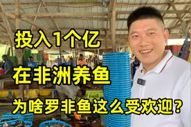 福建老板投入1个亿在非洲养鱼，为啥罗非鱼在非洲这么受欢迎？视频封面