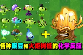 盘点：11个豌豆和火炬树桩的化学反应！视频封面