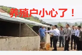 农村禁养全面执行，谁养拆谁？专家：3类养殖户被点名，早打算！视频封面