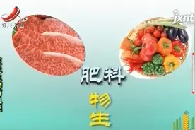大三元生物有机肥，应用方面广效果显著，对农作物生长帮助非常大视频封面