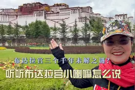 听佛学院小喇嘛讲布达拉宫的千年之谜！视频封面