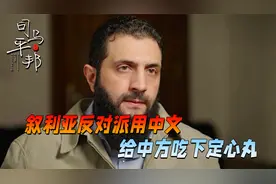 叙利亚政府一夜垮台，和中国的合作，叙反对派给中方吃下定心丸