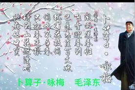 卜算子·咏梅视频封面