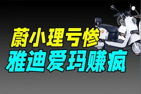 谁是小电驴之王？（雅迪、爱玛）视频封面