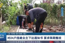 一楼业主私占公共绿地建小院，曝光后当地摸排统计，责令限期整改视频封面