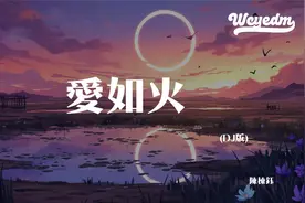 陈栋钰 - 爱如火 (DJ版)「心在跳是爱情如烈火 你在笑疯狂的人是
