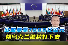 援助7000亿欧元，为让乌克兰坚持打下去，欧洲这是要动“棺材本”视频封面