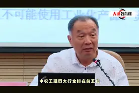 温铁军：世界前5大银行，中国占4家，你就是世界第一金融大国