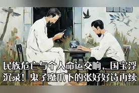 民族危亡与个人命运交响，国宝浮沉录！鬼子魔爪下的张好好诗再续视频封面