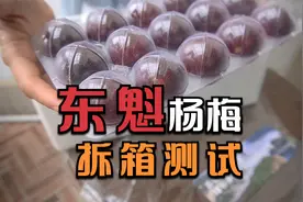 杨梅界的“爱马仕”仙居东魁杨梅现场拆箱！做成杨梅汤真解暑气视频封面