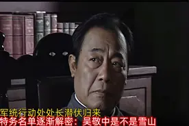 军统行动处处长潜伏归来，特务名单逐渐解密：吴敬中是不是雪山？