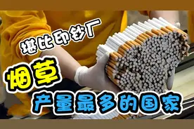 烟草产量最多的10个国家，种它就等于种钞票，第一是谁你能猜到吗视频封面