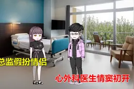 广告总监假扮情侣，心外科医生情窦初开视频封面