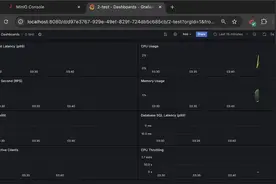 Kubernetes中的性能Web基准Rust (Actix) vs. Go (Golang)视频封面