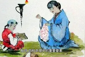 胎月之谜，揭秘四柱命理中的根本因素视频封面