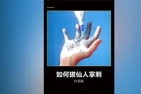 如何去除仙人掌的刺，操作不当有可能危及生命 。视频封面