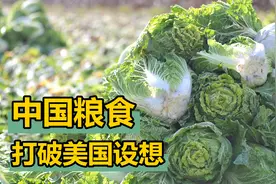 中国其实实力强到可怕，蛋白质摄入领先美国，蔬菜遥遥领先视频封面