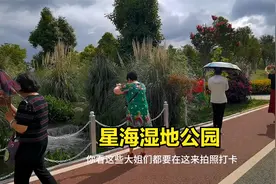 昆明又一个年轻的湿地公园免费开放了，景真美，赶紧来呀视频封面