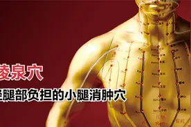 小穴位大健康（54）阴陵泉穴——减轻腿部负担的小腿消肿穴视频封面