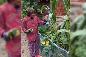 网友晒90岁奶奶做饭日常，奶奶随心所欲的厨艺让人震撼视频封面