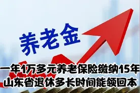 一年1万多元养老保险缴纳15年，山东省退休，多长时间能领回本？视频封面