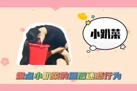 盘点小趴菜的酒后迷惑行为，又菜又爱玩，一喝就醉