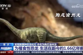 重庆 发现新属种恐龙化石 命名为朐忍渝州龙视频封面