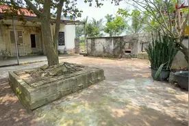 回到乡下老家，把儿时居住的荒废老宅，自己动手清理得干干净净！视频封面