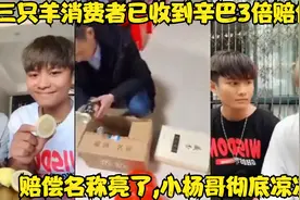 三只羊消费者已收到辛巴3倍赔付金！赔偿名称亮了,小杨哥彻底凉凉视频封面