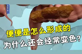 尿液和便便是怎么形成的，为什么还会经常变色？视频封面