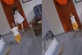 家里进蛇大人吓得直跳脚躲屋内，女儿敲门被放入，儿子拍门崩溃哭视频封面