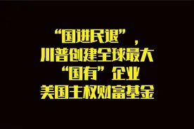 “国进民退”，川普创建全球最大国有企业美国主权财富基金视频封面