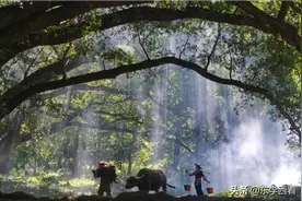 男耕女织～图片