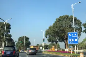 珠海到中山走广澳高速，受新型冠状病毒影响，路上车少街上人少视频封面