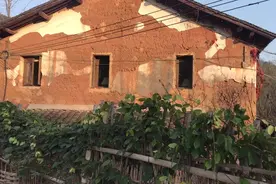 浙江的这个村子外表看起来那么破旧，内部竟然如此豪华视频封面