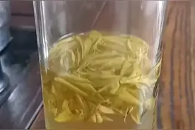 客人自拍🤳……视频封面