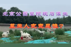 北京郊区公园里发现一大批石像生，墓主人居然和清华大学有关！视频封面