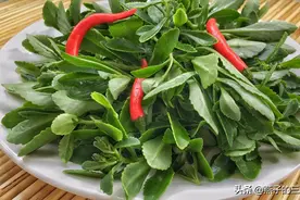 吃三七对人体这么好，简单一做色香味美，经常吃更年轻视频封面