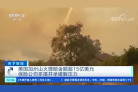 【#美国加州山火理赔金额超15亿美元#，