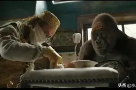 这部戏太搞笑了，两人敲门开门的却是大猩猩，人与动物笑料百出视频封面