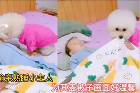 狗狗偷亲熟睡小主人，为其盖被子画面好温馨，网友:太有爱好感人视频封面