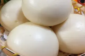 馒头多长时间蒸熟，有人十五分钟，有人一个小时，怎么差距那么大视频封面